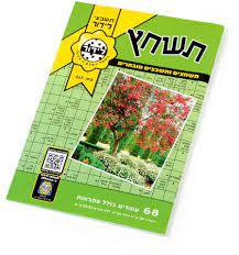 תשחץ מס' 505 לידור