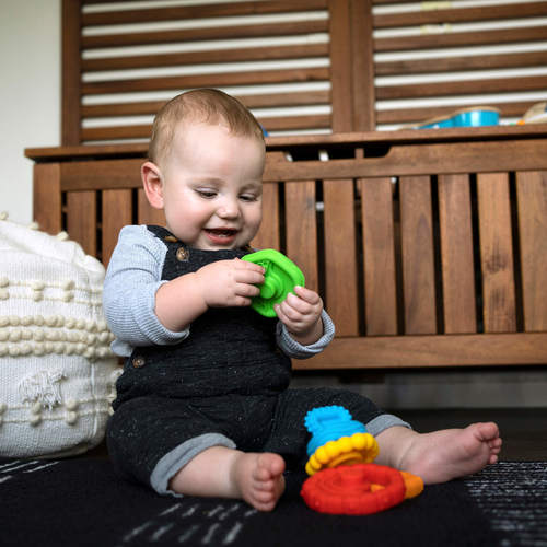 מגדל טבעות נשכנים בייבי איינשטיין baby einstein