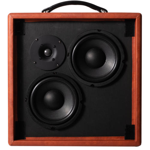 מגבר לגיטרה אקוסטית  Recording King Acoustic, 60w AR-60