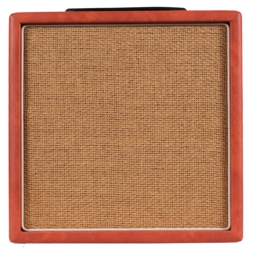 מגבר לגיטרה אקוסטית  Recording King Acoustic, 30w AR-30