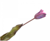 948b34660f1636fcc52cf9a0db0fcc5f