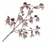 C04d8fa92f114815534a2afa47bef0e0