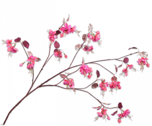 ענף פריחה פוקסיה FUCHSIA SPRAY BEAUTY