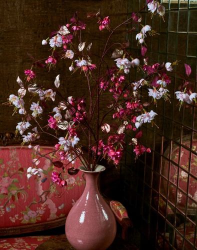 ענף פריחה פוקסיה FUCHSIA SPRAY BEAUTY