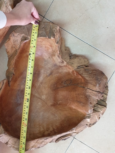 קערה עץ טיק טבעי מידה ענק 
