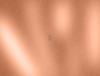 5d79a1ee9733f5791a94232dff994c40