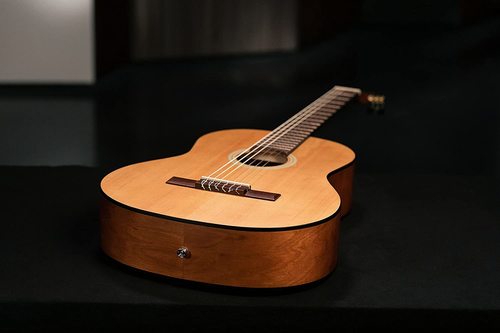גיטרה קלאסית Ortega RST5M 