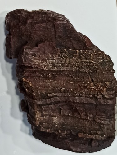דקורציה אבן לאקווריום