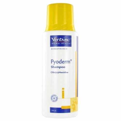 שמפו וירבק PYODERM