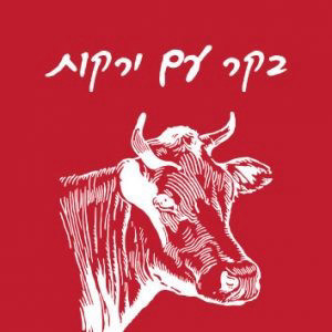 מיט בקר עם ירקות