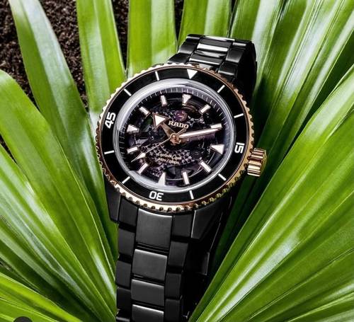 שעון RADO CAPTAIN COOK אוטומטי לגבר (45 ממ)