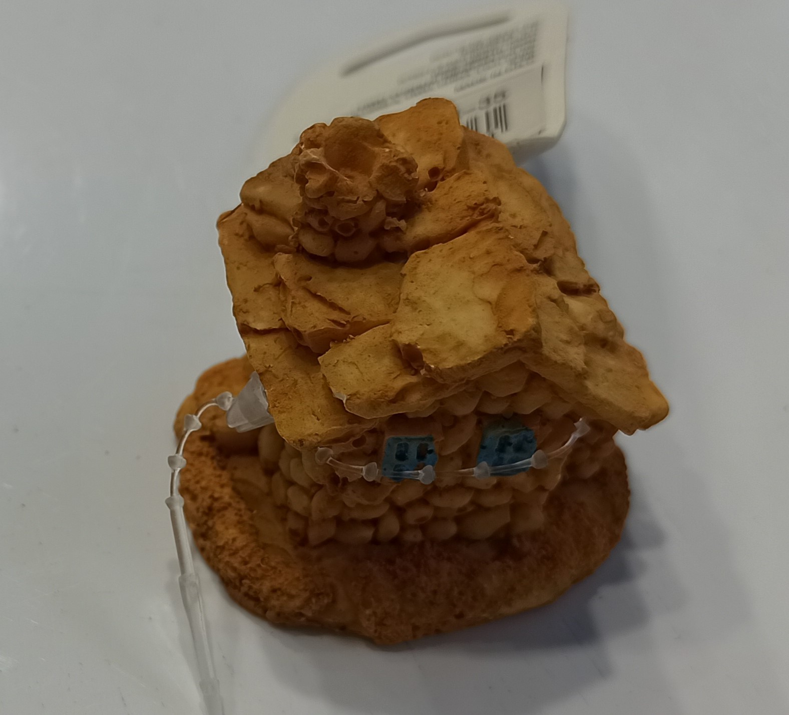 דקורציה בית לאקווריום