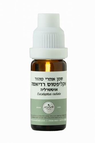 שמן אתרי אקליפטוס רדיאטה 10 מ