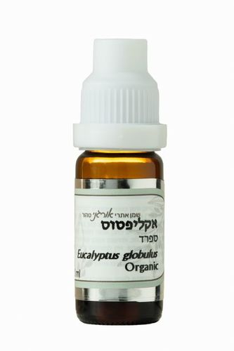 שמן אתרי אקליפטוס 10 מ