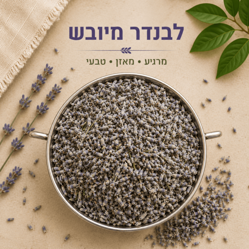 לבנדר מיובש 