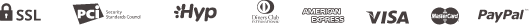 payment_icon
