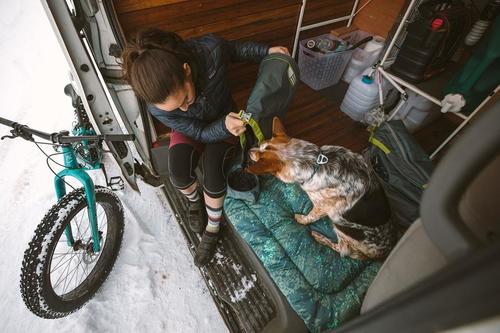 BASECAMP™ DOG BED