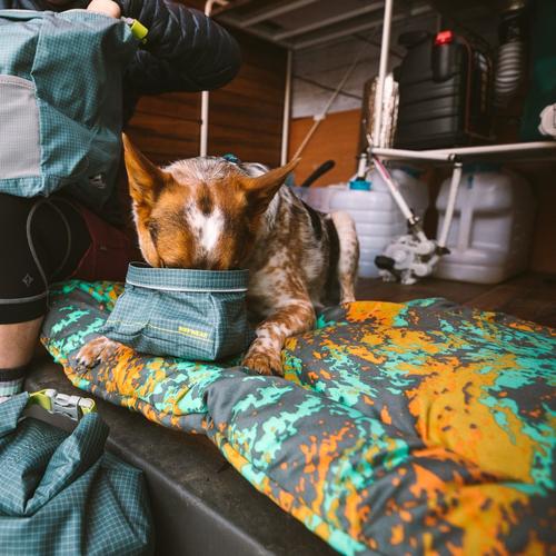 BASECAMP™ DOG BED