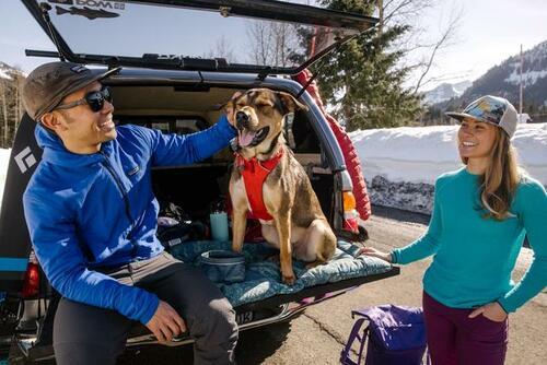 BASECAMP™ DOG BED