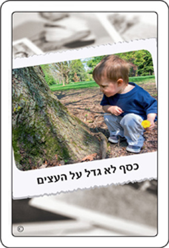 קלפי 