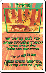 קלפי פוקוס - קלפי אימון. המאמן שבלב