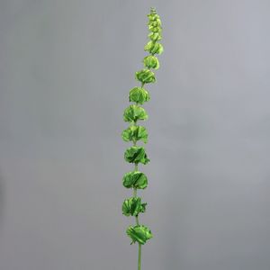 ענף ירוק צמח מטפס 119 ס"מ MOLUCELLA