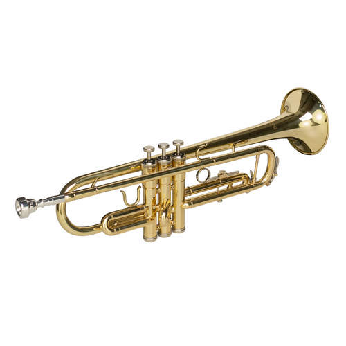 חצוצרה עם ארגז CASCHA EH3800