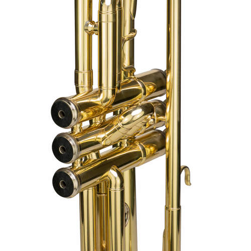 חצוצרה עם ארגז CASCHA EH3800