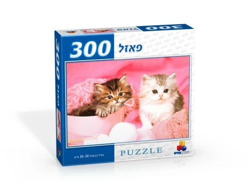 פאזל 300 חלקים - 'לשוב לחייך'