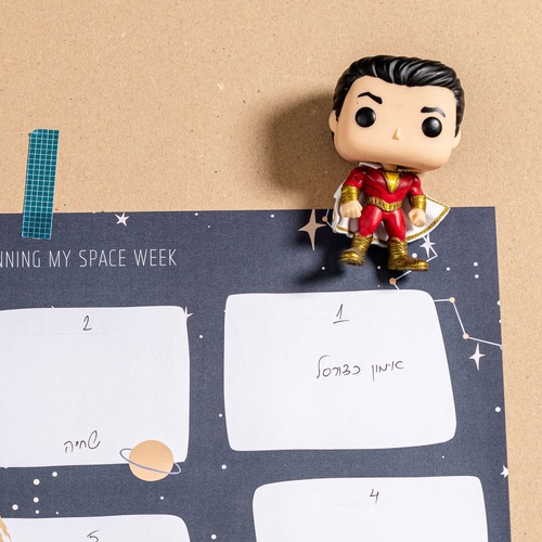 פלנר שבועי My Weekly Space