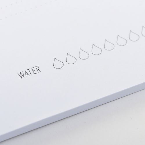 פלנר יומי Daily Water