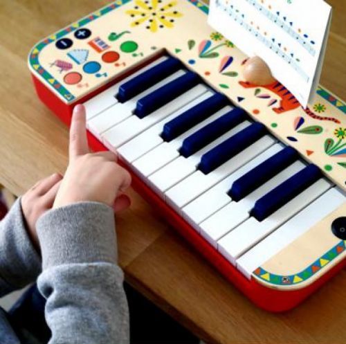 אורגן 