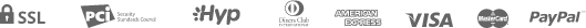 payment_icon