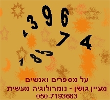 מה הקשר בין פיתגורס, הארי פוטר, מיסטיק ושם התינוק העומד להוולד לכם?