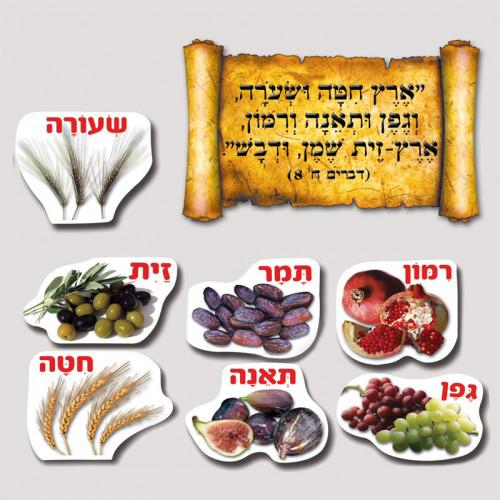 שבעת המינים + כרזה מעוצבת/גן לי
