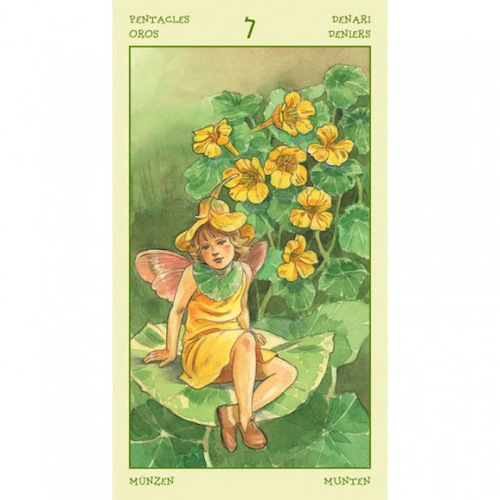 טארוט נשמת הפרחים (ילדי הפרחים)  קלפים נדירים. מיוחד לאספנים!!!