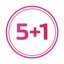 5+1