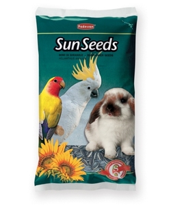 SUNSEEDS גרעיני חמנייה