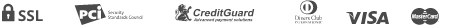 payment_icon