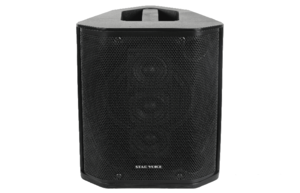 בידורית מדגם Star Voice SV-1