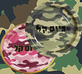 מסיבת גיוס