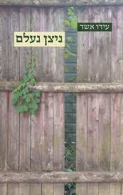 ניצן נעלם -עידו אשד גוונים
