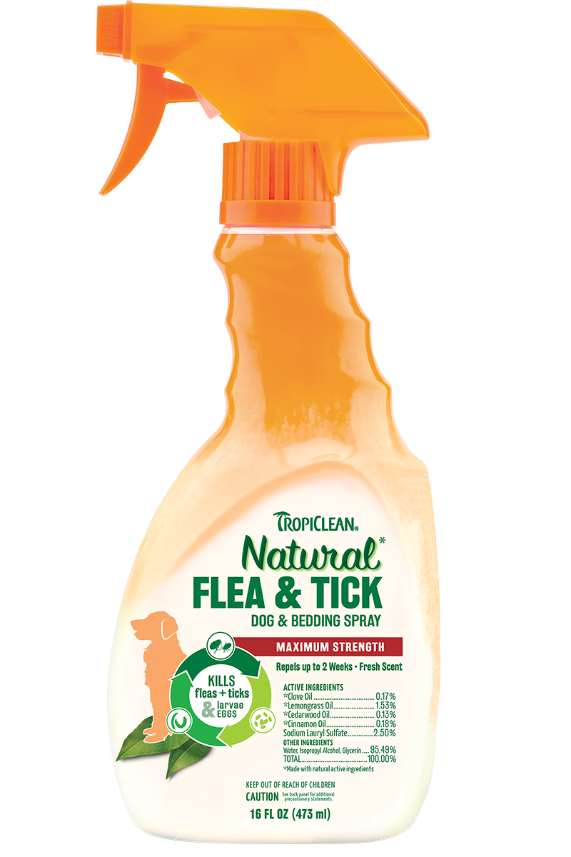 cedarwood flea spray