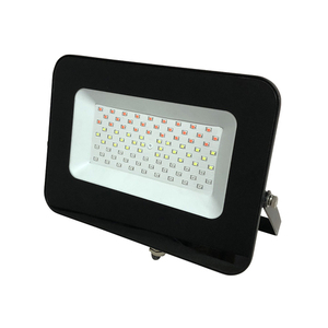 הצפה צבעוני SMD IP65 30W COLOR JET אור RGB IG