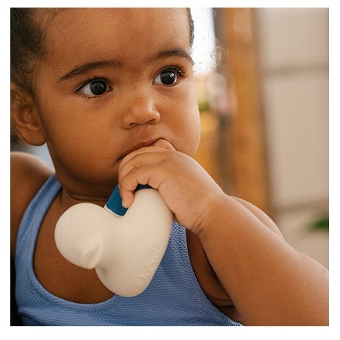 נשכן תינוק / צעצוע אמבט עשוי 100% גומי טבעי בעבודת יד - ברווז כחול