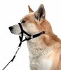 קולר ראש לכלב האלטי Headcollar
