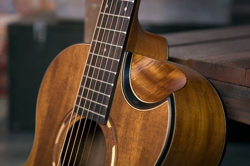 זוית נוספת Washburn G-MINI 55 KOA