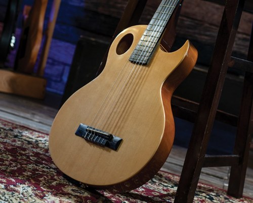 זווית נוספת Washburn FESTIVAL EACT42S