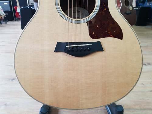 Taylor GS Mini E 2019