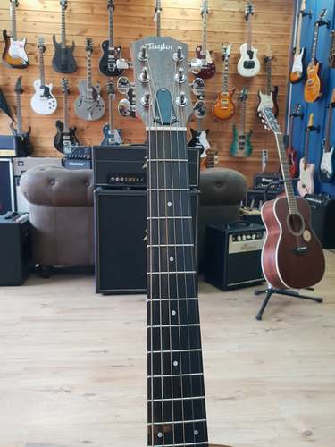 Taylor GS Mini E 2019